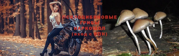метадон Алексеевка
